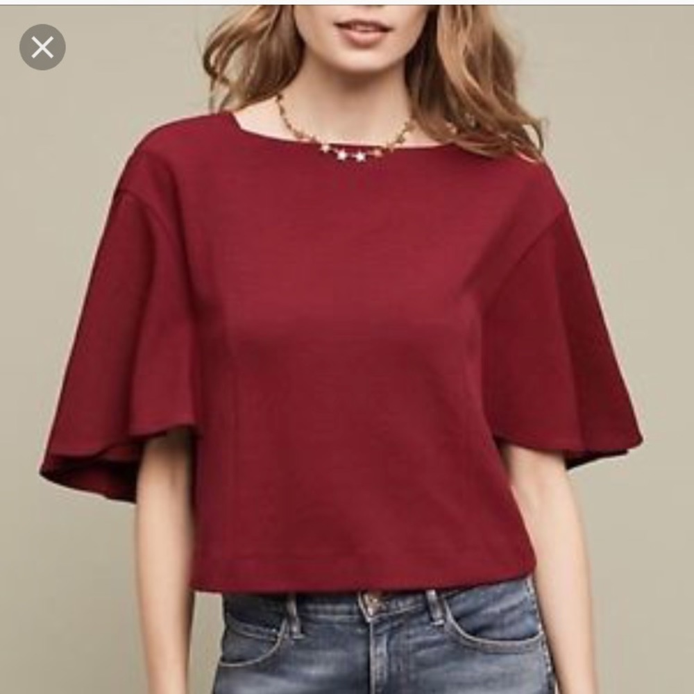 Butterfly Burgundy Crop Top